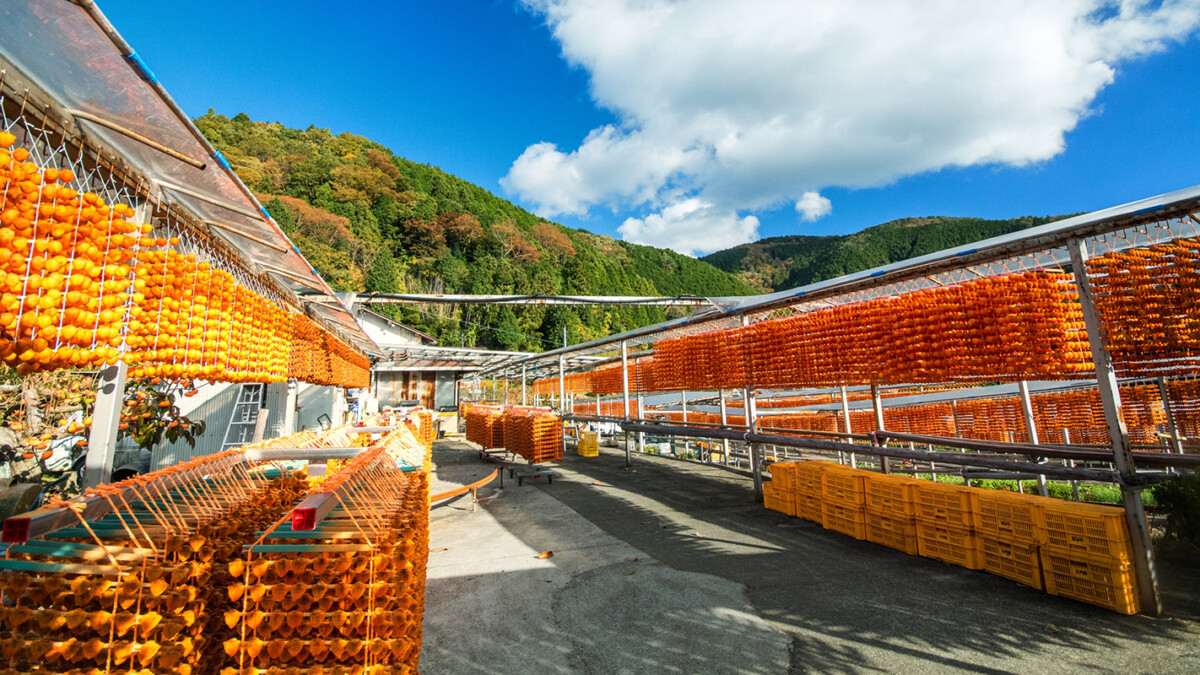 世界に誇れる「WAKAYAMA」へ